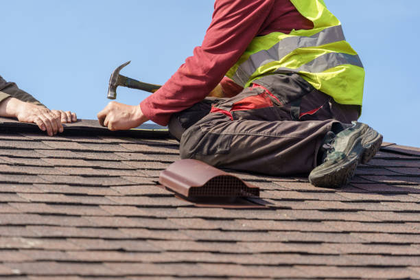 Best Roof Gutter Cleaning  in Palmyra, NJ