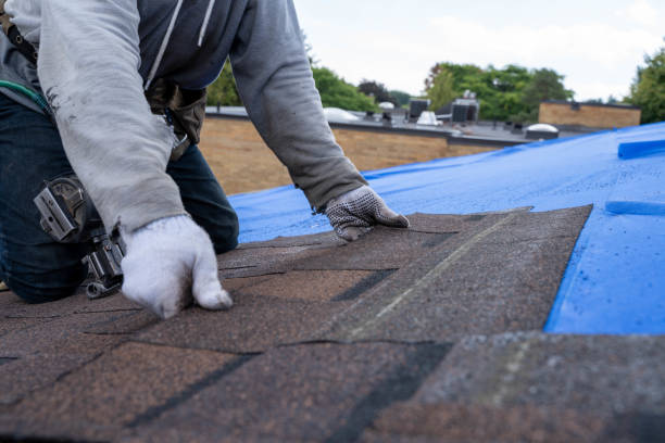Best Commercial Roofing Services  in Palmyra, NJ