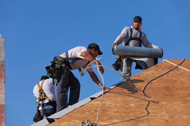 Best Storm Damage Roof Repair  in Palmyra, NJ