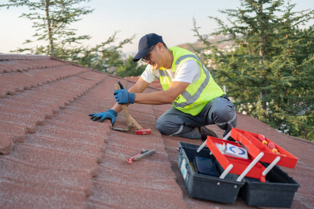 Best Roof Replacement Cost  in Palmyra, NJ