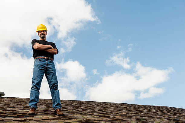 Best Roof Gutter Cleaning  in Palmyra, NJ