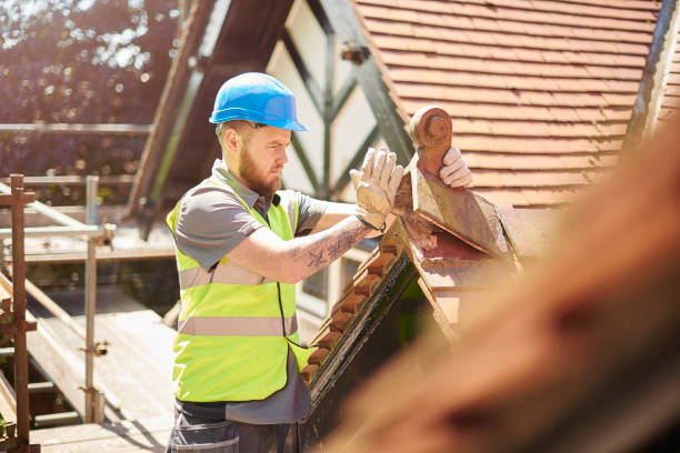 Best Roof Replacement Cost  in Palmyra, NJ
