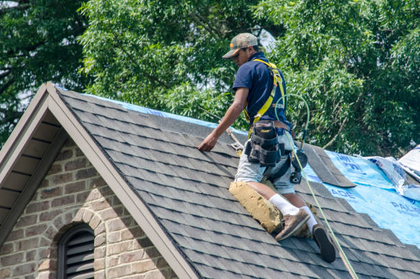 Best Roof Gutter Cleaning  in Palmyra, NJ